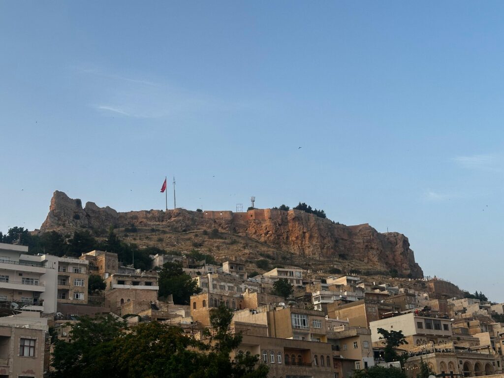 Mardin Kalesi